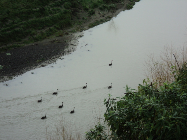Name:  picture 1873.jpg
Views: 260
Size:  165.2 KB