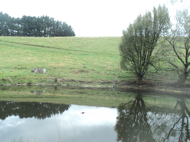 Name:  picture 01 3076.jpg
Views: 337
Size:  163.9 KB
