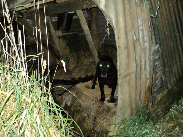 Name:  picture 1871.jpg
Views: 256
Size:  164.0 KB