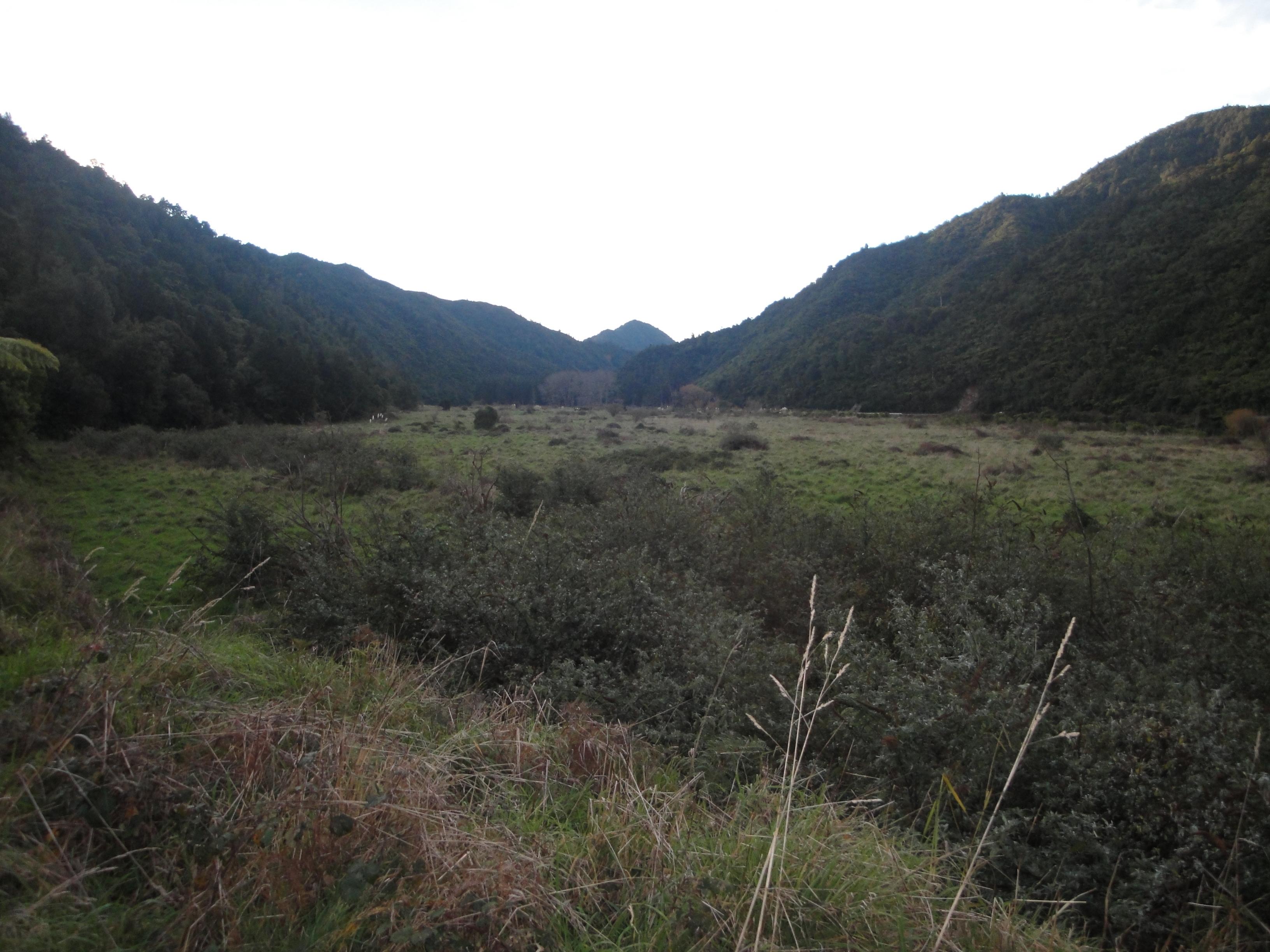 Name:  DSC07716.jpg
Views: 492
Size:  725.5 KB