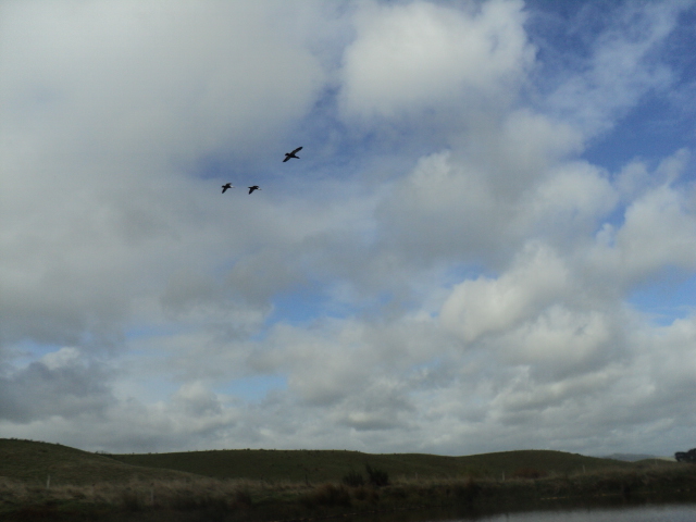 Name:  picture 01 3226.jpg
Views: 246
Size:  157.5 KB