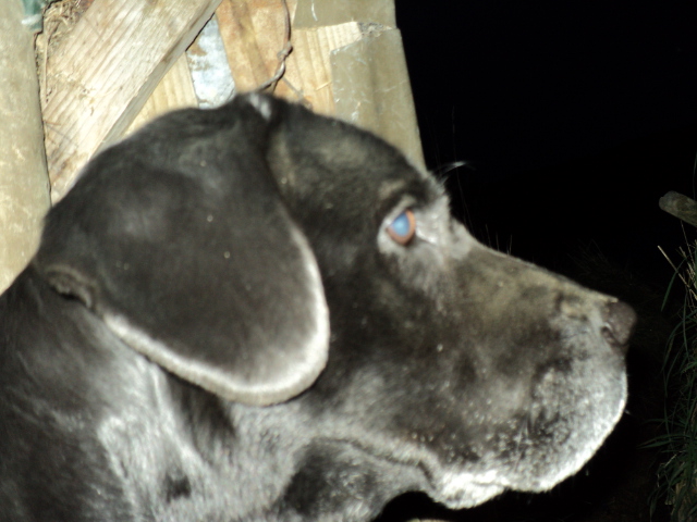 Name:  picture 1876.jpg
Views: 253
Size:  165.3 KB