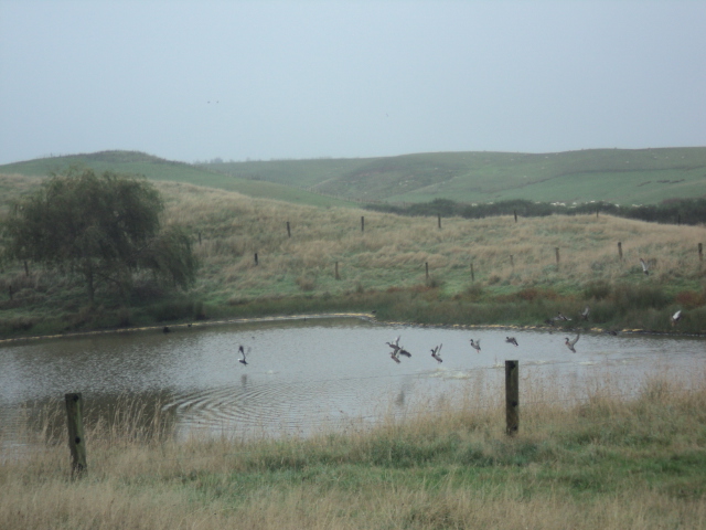 Name:  picture 01 3230.jpg
Views: 255
Size:  165.1 KB