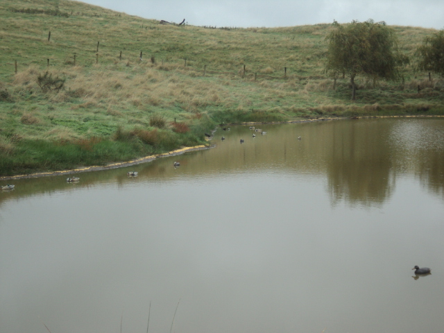 Name:  picture 01 3231.jpg
Views: 262
Size:  161.8 KB