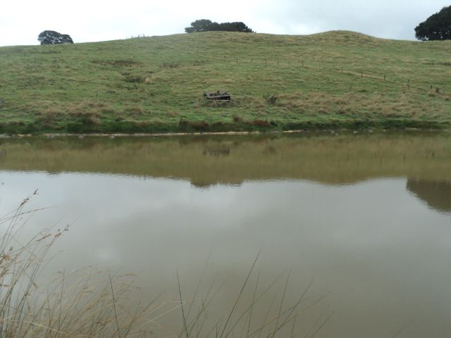 Name:  picture 01 3232.jpg
Views: 259
Size:  164.9 KB