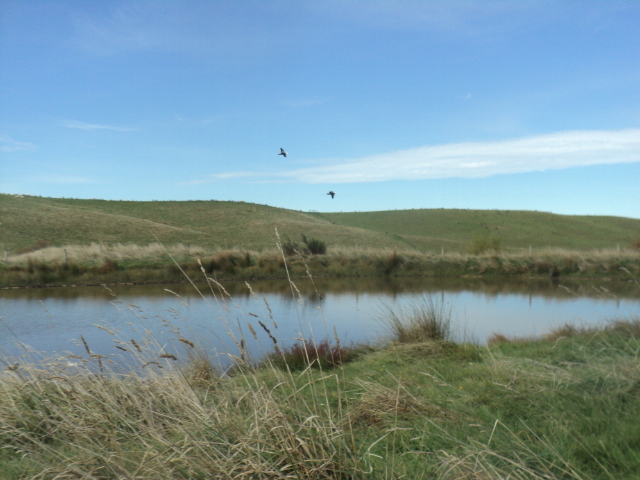 Name:  picture 01 3236.jpg
Views: 156
Size:  164.3 KB