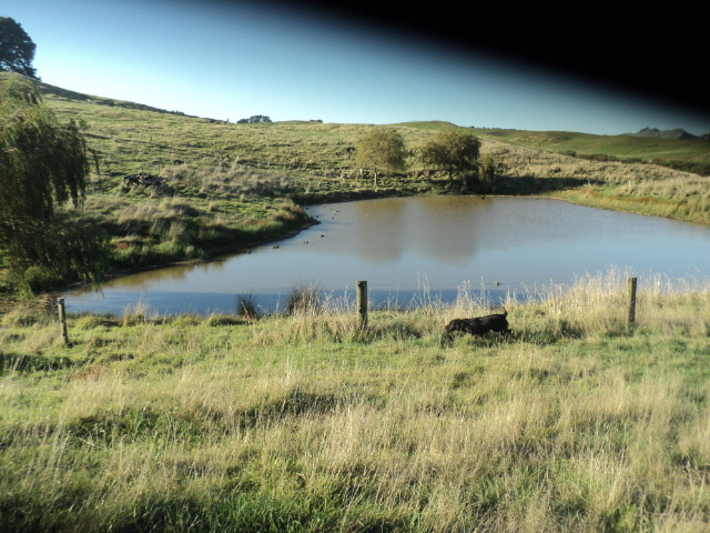 Name:  picture 01 3241.jpg
Views: 167
Size:  162.2 KB