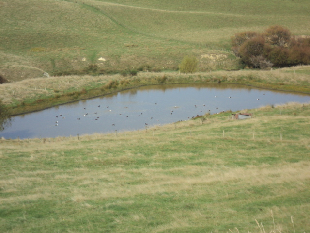 Name:  picture 01 3239.jpg
Views: 181
Size:  162.7 KB