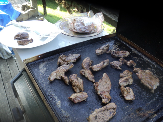 Name:  picture 01 3244.jpg
Views: 236
Size:  164.9 KB