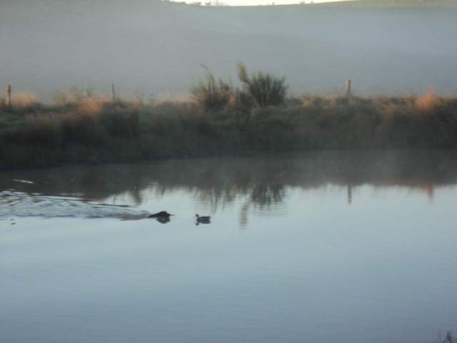 Name:  picture 01 3253.jpg
Views: 253
Size:  164.7 KB