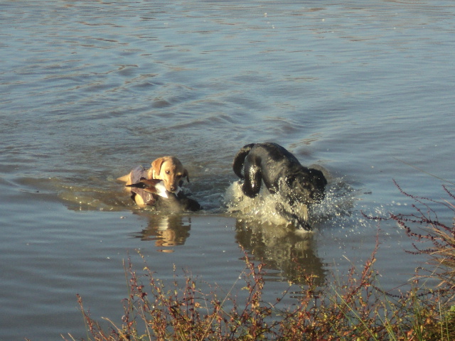 Name:  picture 01 3254.jpg
Views: 247
Size:  163.4 KB