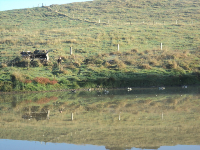 Name:  picture 01 3255.jpg
Views: 253
Size:  164.9 KB