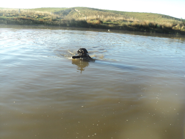 Name:  picture 01 3257.jpg
Views: 247
Size:  159.6 KB