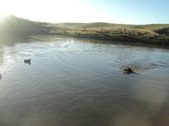 Name:  picture 01 3258.jpg
Views: 254
Size:  164.6 KB