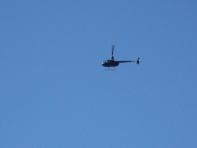 Name:  picture 01 3261.jpg
Views: 263
Size:  164.0 KB