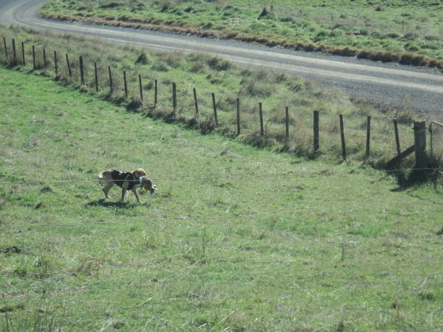 Name:  picture 01 3263.jpg
Views: 246
Size:  164.6 KB