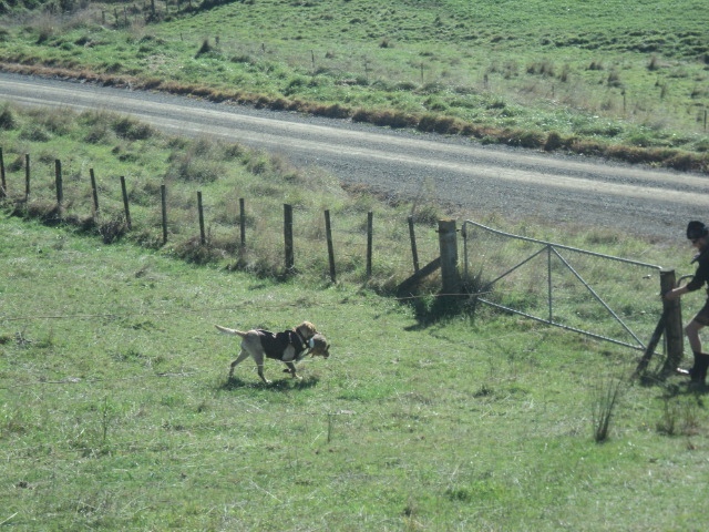 Name:  picture 01 3264.jpg
Views: 235
Size:  164.7 KB