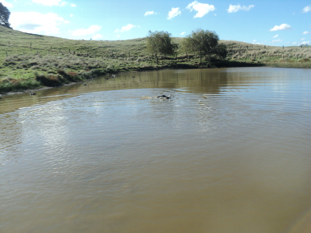 Name:  picture 01 3266.jpg
Views: 234
Size:  163.1 KB