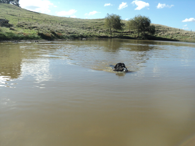 Name:  picture 01 3267.jpg
Views: 246
Size:  165.3 KB