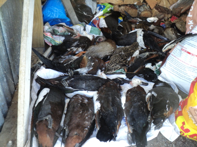 Name:  picture 01 3269.jpg
Views: 226
Size:  163.9 KB
