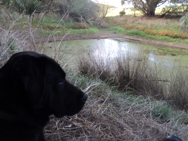 Name:  picture 01 3271.jpg
Views: 227
Size:  164.3 KB