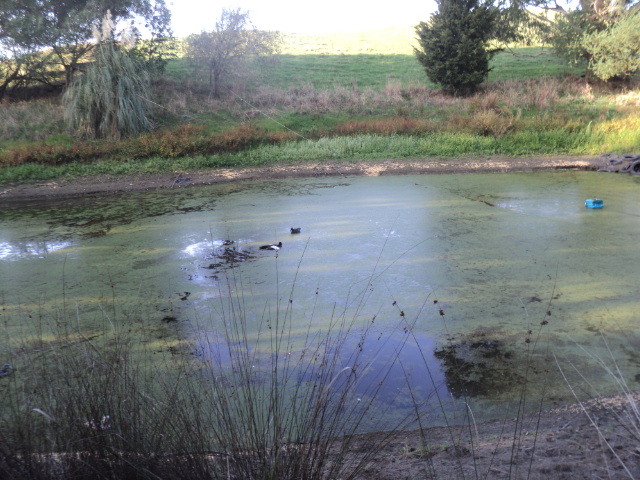 Name:  picture 01 3272.jpg
Views: 236
Size:  163.8 KB