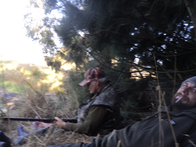 Name:  picture 01 3277.jpg
Views: 223
Size:  163.0 KB