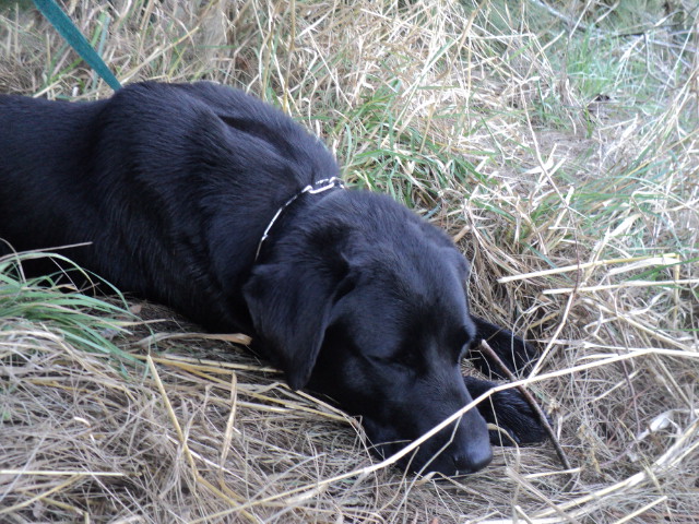 Name:  picture 01 3279.jpg
Views: 230
Size:  163.1 KB