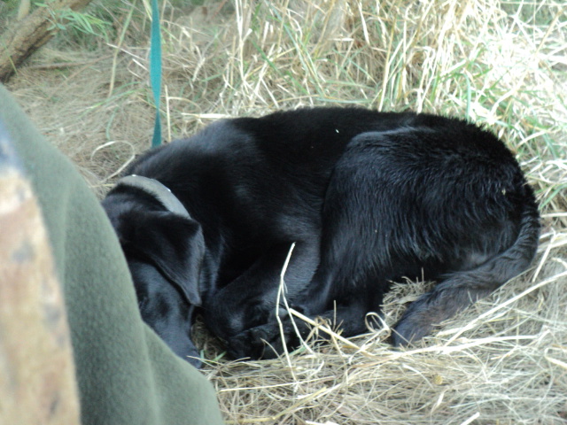 Name:  picture 01 3280.jpg
Views: 224
Size:  164.7 KB