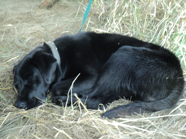 Name:  picture 01 3281.jpg
Views: 239
Size:  163.7 KB