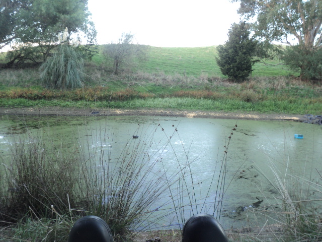 Name:  picture 01 3282.jpg
Views: 229
Size:  164.3 KB