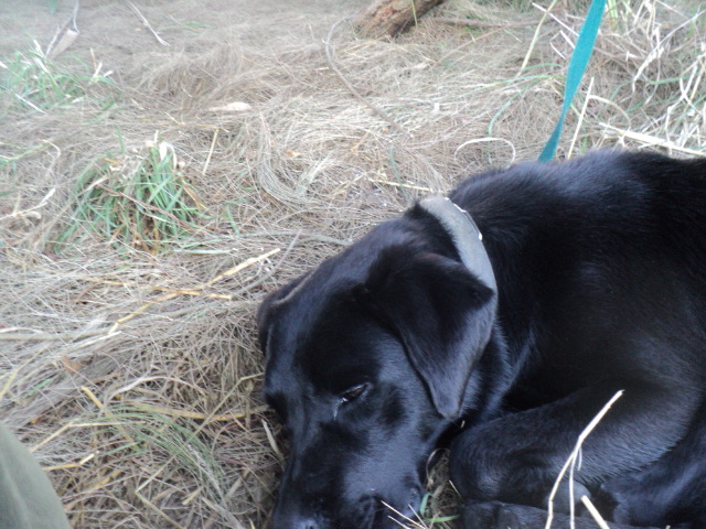 Name:  picture 01 3283.jpg
Views: 224
Size:  162.9 KB
