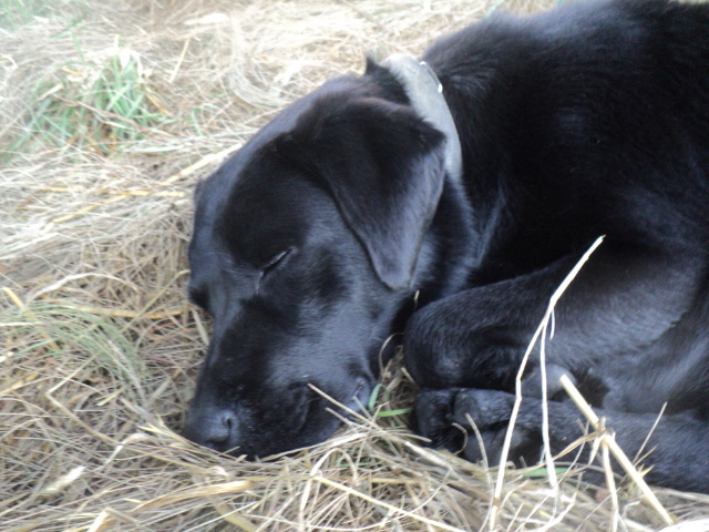 Name:  picture 01 3284.jpg
Views: 227
Size:  162.6 KB