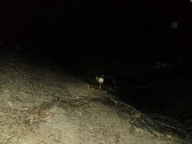 Name:  picture 01 3287.jpg
Views: 226
Size:  164.8 KB