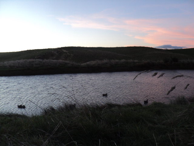 Name:  picture 01 3290.jpg
Views: 261
Size:  164.1 KB