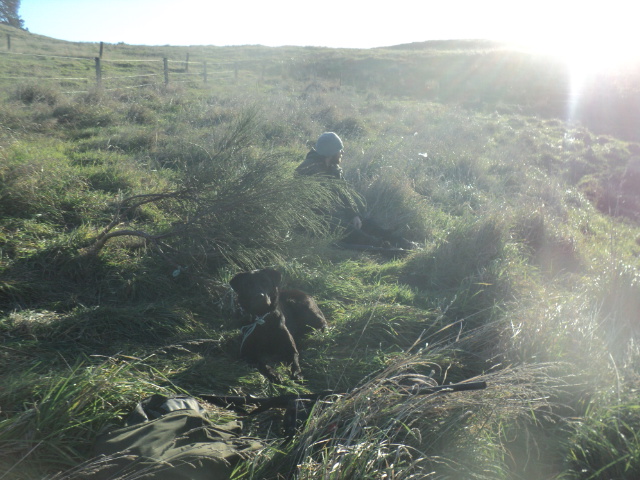Name:  picture 01 3291.jpg
Views: 248
Size:  164.7 KB