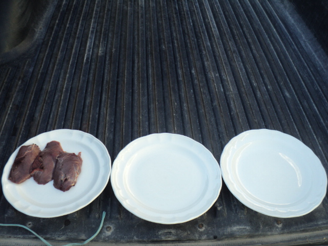 Name:  picture 01 3294.jpg
Views: 254
Size:  161.7 KB