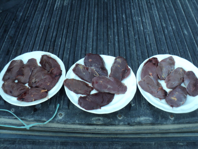 Name:  picture 01 3296.jpg
Views: 237
Size:  164.4 KB