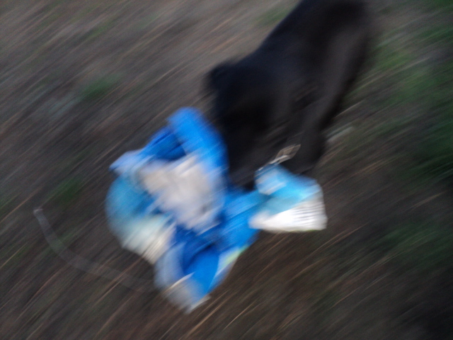 Name:  picture 01 3300.jpg
Views: 257
Size:  159.8 KB