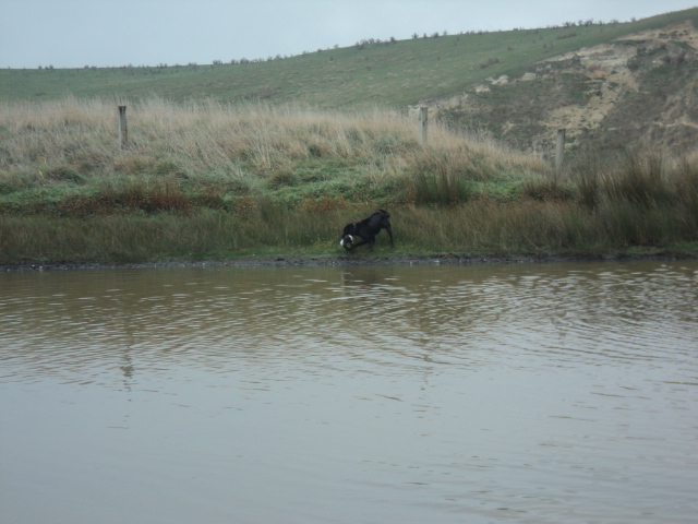 Name:  picture 01 3311.jpg
Views: 223
Size:  165.0 KB