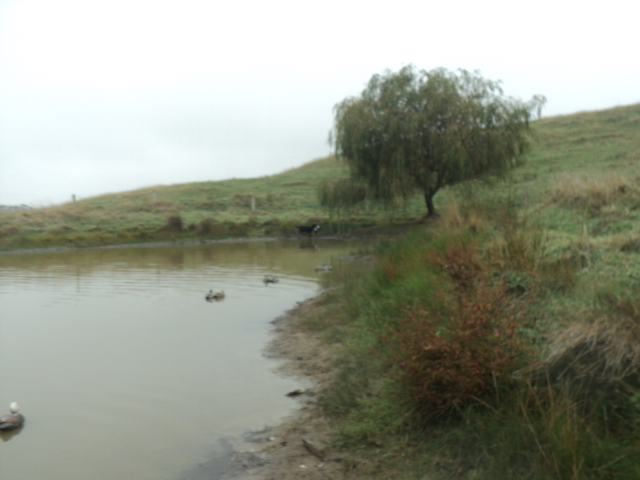 Name:  picture 01 3312.jpg
Views: 205
Size:  154.6 KB