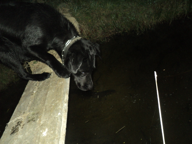 Name:  picture 01 3327.jpg
Views: 274
Size:  165.0 KB