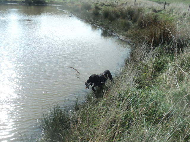 Name:  picture 01 3331.jpg
Views: 247
Size:  164.0 KB
