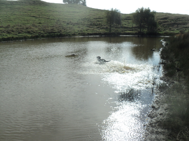 Name:  picture 01 3332.jpg
Views: 256
Size:  163.4 KB