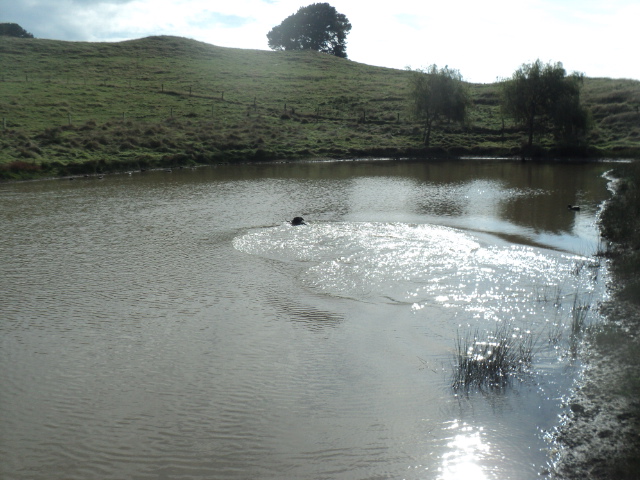 Name:  picture 01 3333.jpg
Views: 251
Size:  165.1 KB