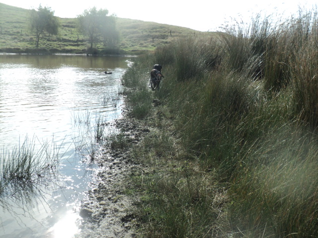 Name:  picture 01 3335.jpg
Views: 275
Size:  163.8 KB