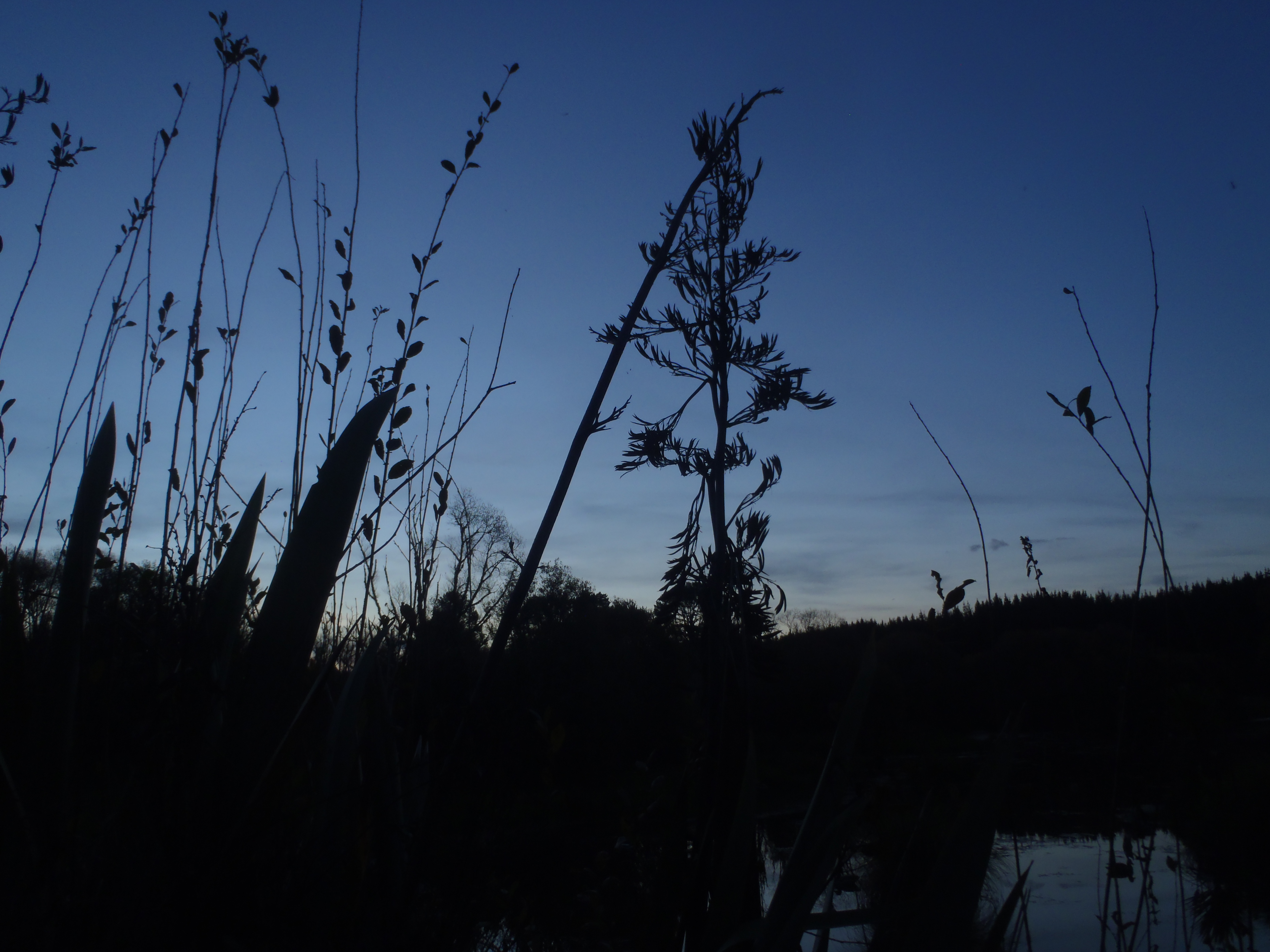 Name:  2019-05-05 18.26.48.jpg
Views: 297
Size:  2.77 MB