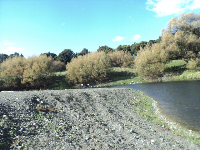 Name:  picture 01 3347.jpg
Views: 298
Size:  165.0 KB