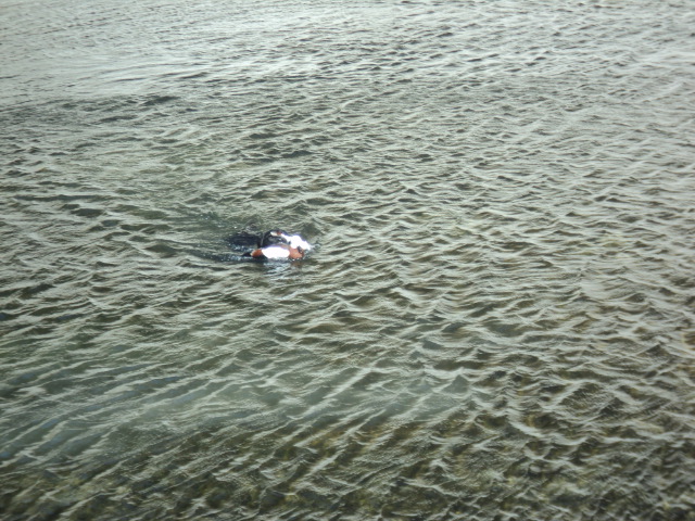 Name:  picture 01 3349.jpg
Views: 304
Size:  165.3 KB