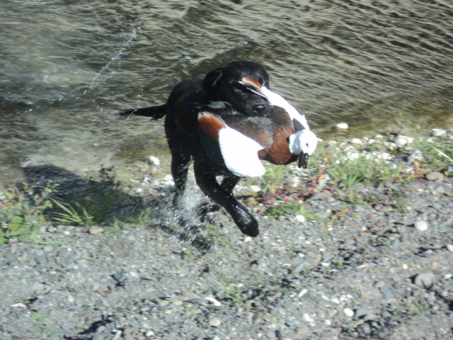 Name:  picture 01 3350.jpg
Views: 287
Size:  164.6 KB